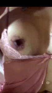老熟女人妻