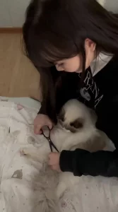 高颜值女同事逼真肥！为了撸猫羊入虎口被大鸡巴插爽了